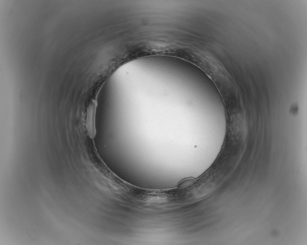 X0000090460653200707272238