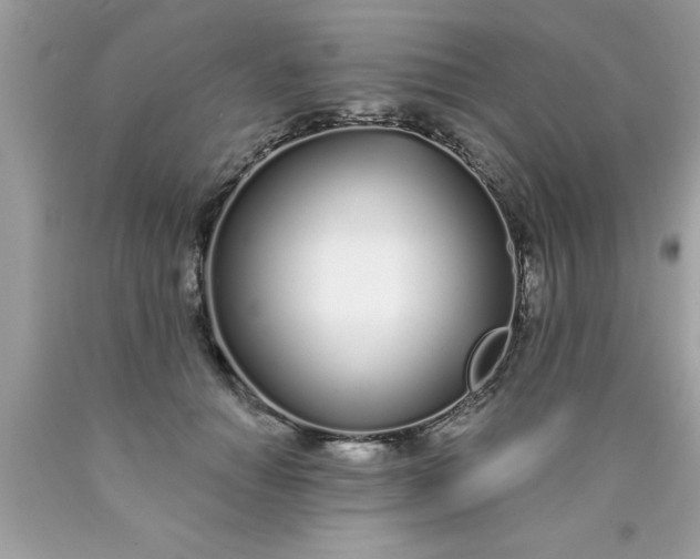 X0000090460654200707272238