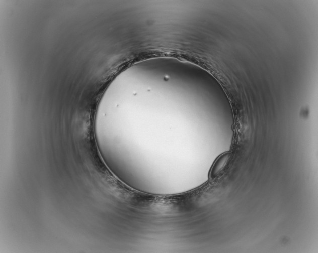 X0000090460656200707272238