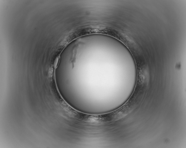 X0000090460657200707272238