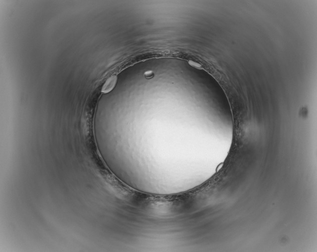 X0000090460658200707272238
