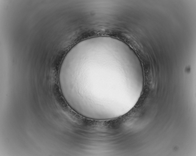 X0000090460659200707272238