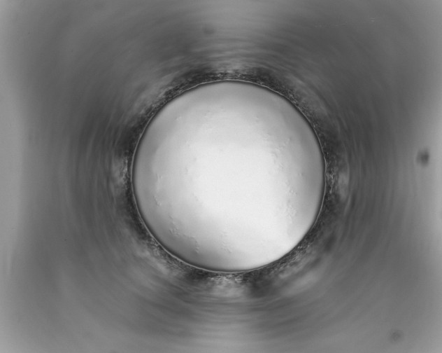 X0000090460660200707272238
