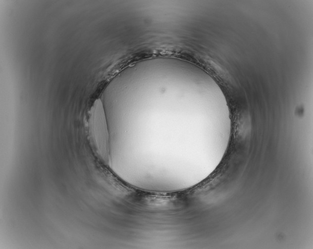 X0000090460661200707272238