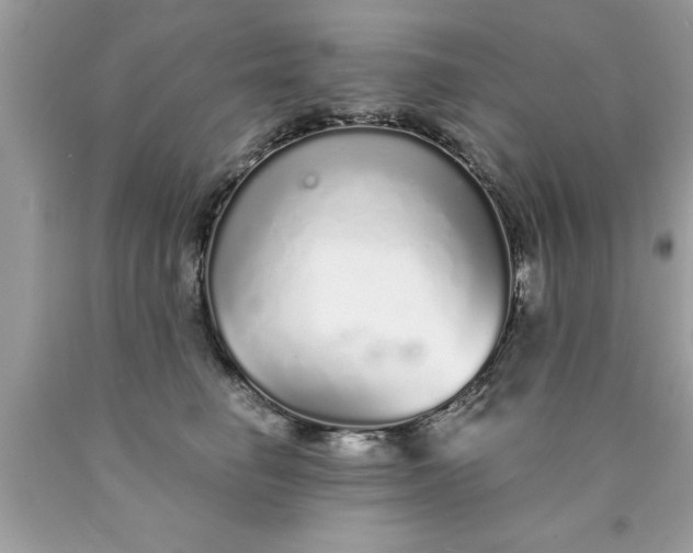 X0000090460662200707272238