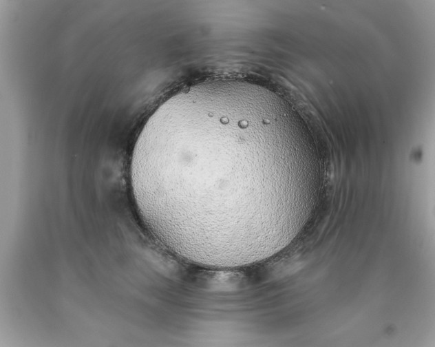 X0000090460663200707272238