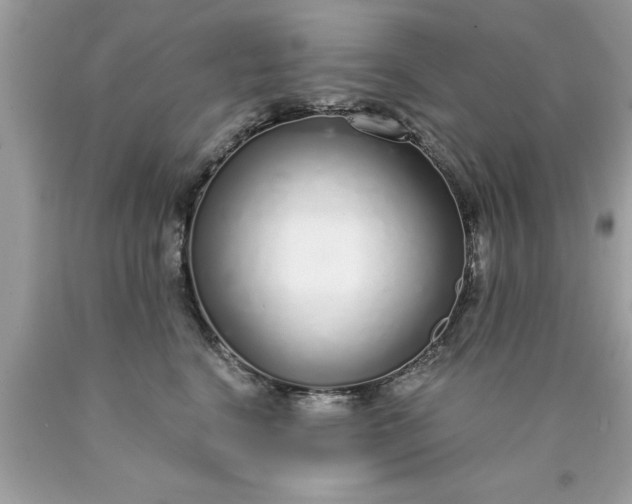 X0000090460664200707272238