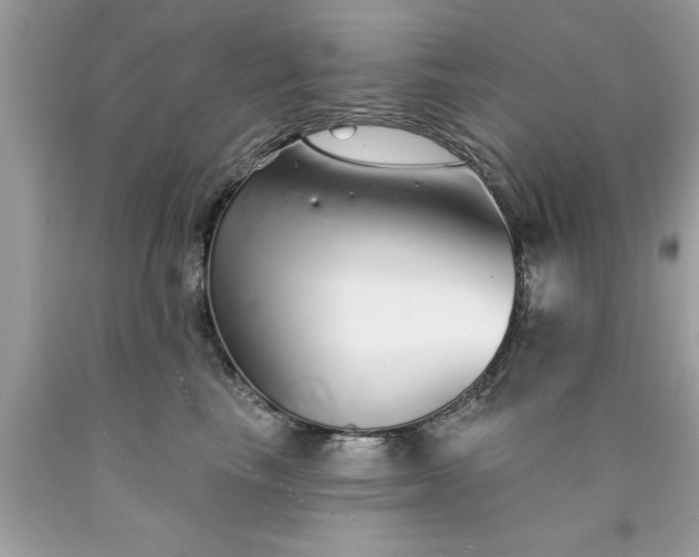 X0000090460665200707272238