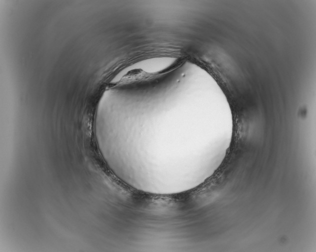 X0000090460666200707272238