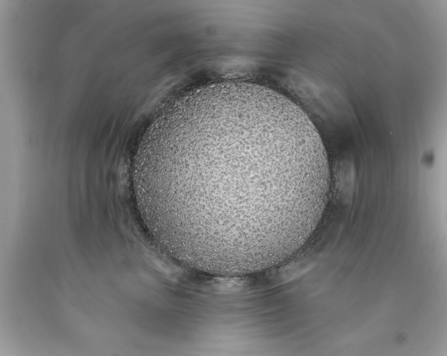 X0000090460667200707272238