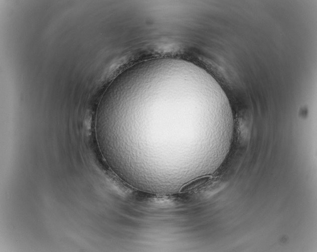 X0000090460668200707272238