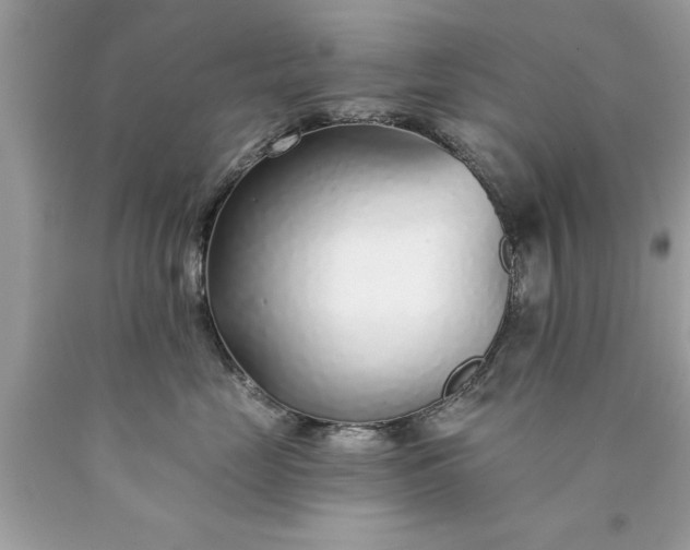X0000090460669200707272238