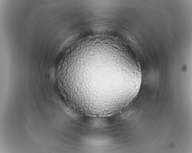 X0000090460670200707272238
