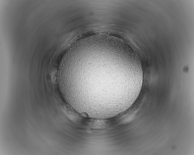 X0000090460671200707272238
