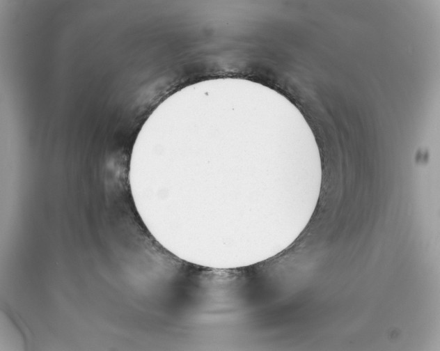 X0000090460672200707272238