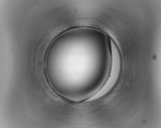 X0000090460673200707272237