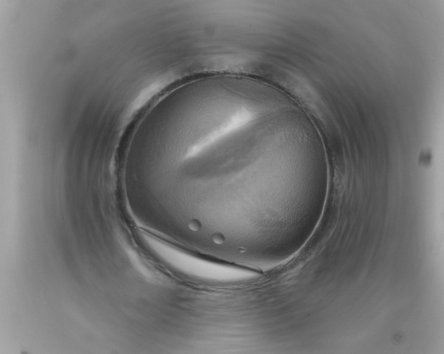 X0000090460674200707272237