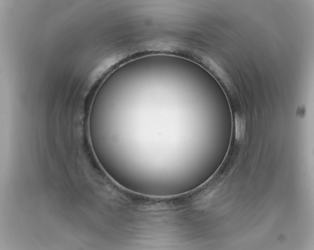 X0000090460675200707272237