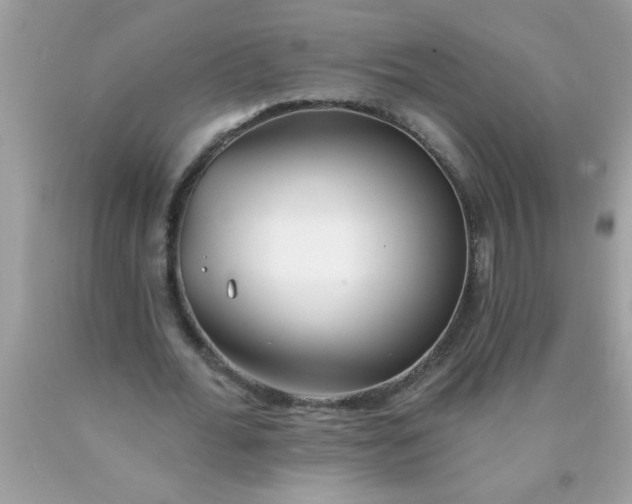 X0000090460676200707272237