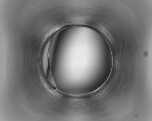 X0000090460677200707272237