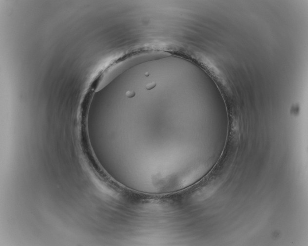X0000090460678200707272237