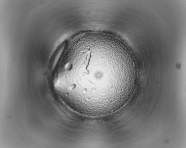 X0000090460679200707272237