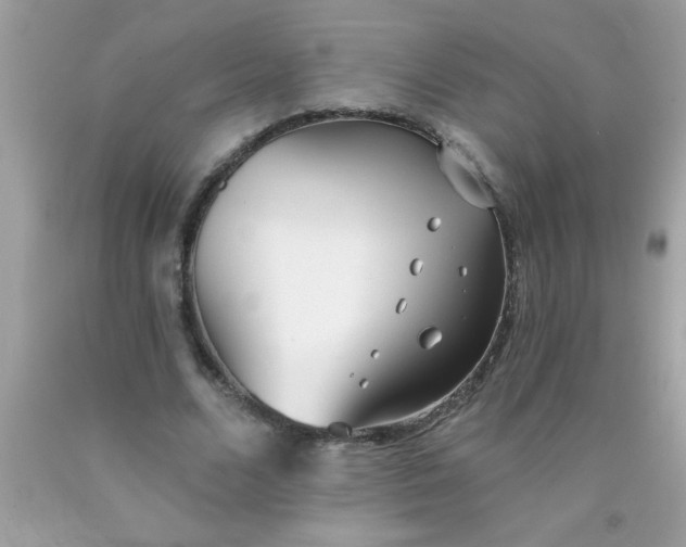 X0000090460680200707272237