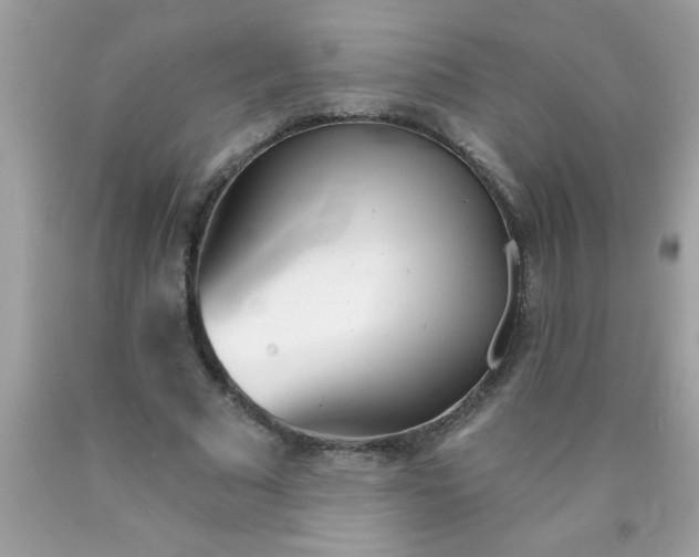 X0000090460681200707272237