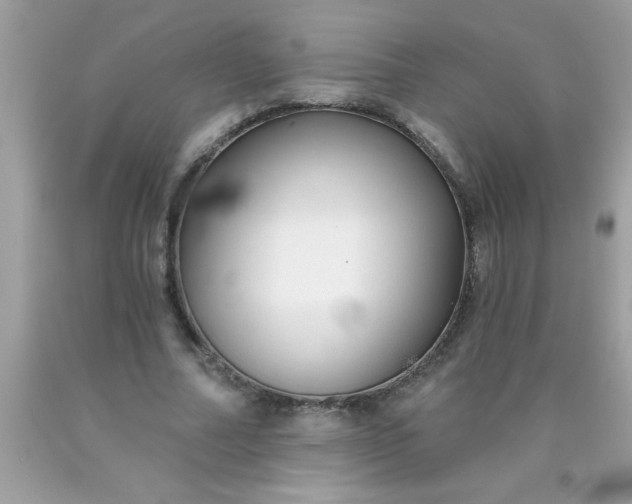 X0000090460682200707272237
