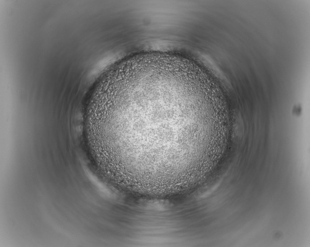 X0000090460683200707272237