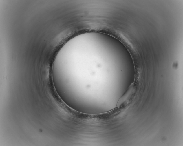 X0000090460685200707272237