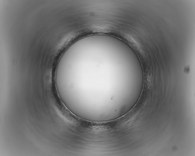 X0000090460686200707272237