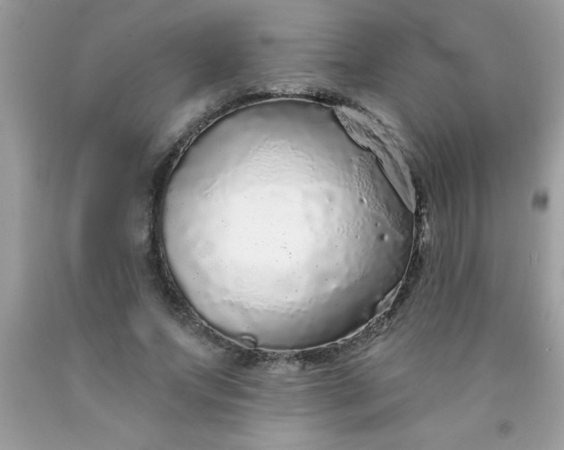 X0000090460687200707272237