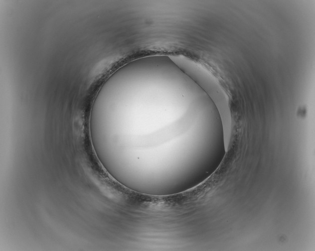 X0000090460688200707272237