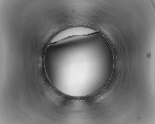 X0000090460689200707272237