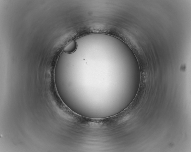 X0000090460690200707272237