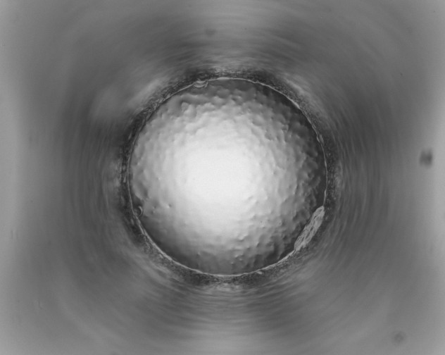 X0000090460691200707272237
