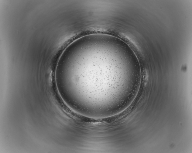 X0000090460692200707272237