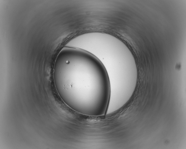 X0000090460693200707272237