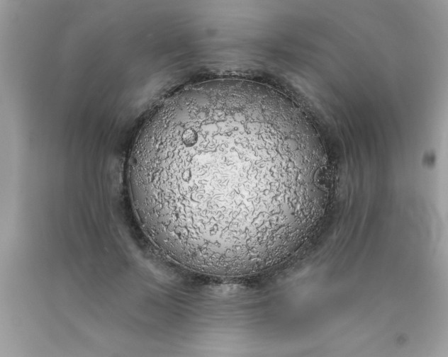 X0000090460695200707272237