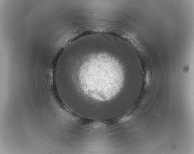 X0000090460696200707272237