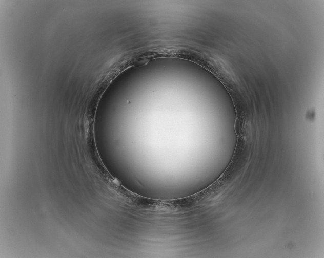 X0000090460697200707272237