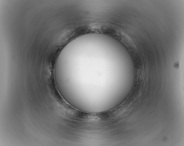 X0000090460702200707272237