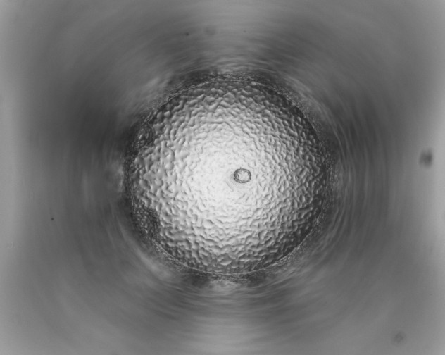 X0000090460703200707272237