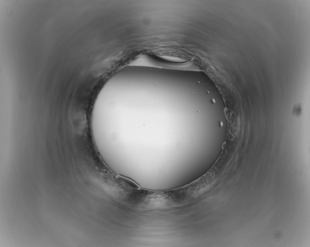 X0000090460704200707272237