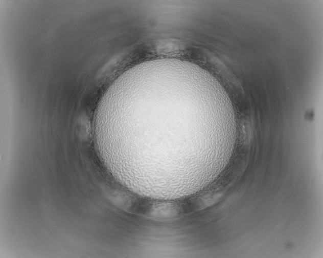 X0000090460705200707272237
