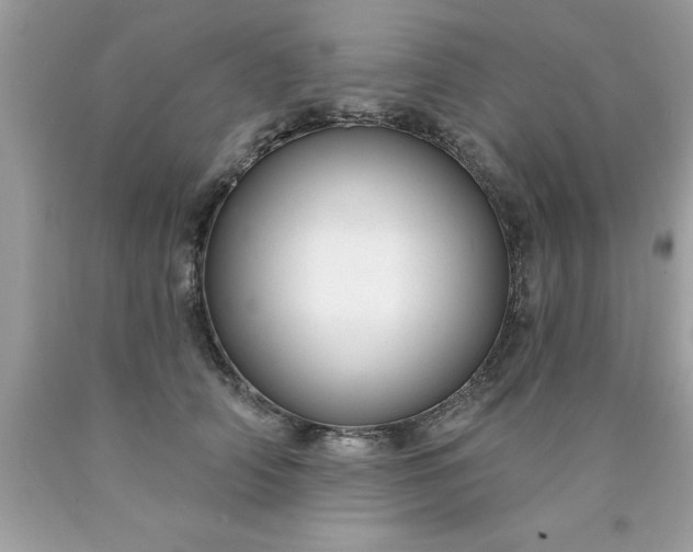 X0000090460706200707272237