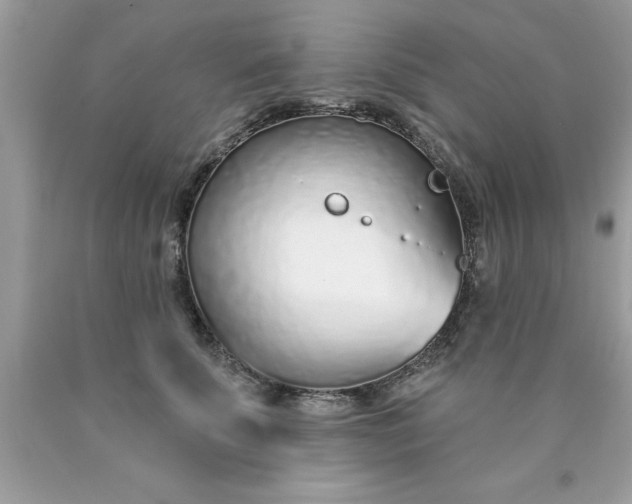X0000090460707200707272237