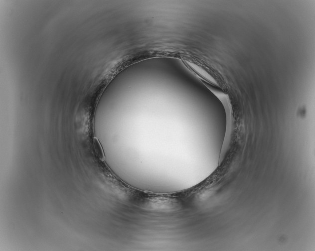 X0000090460708200707272237