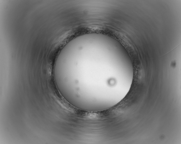 X0000090460710200707272237